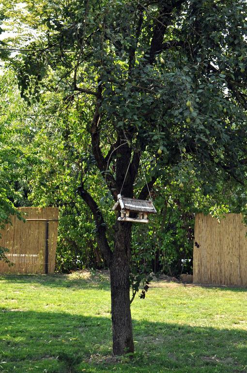 Home Tara Haţeg Exterior foto
