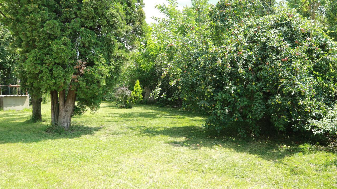 Home Tara Haţeg Exterior foto