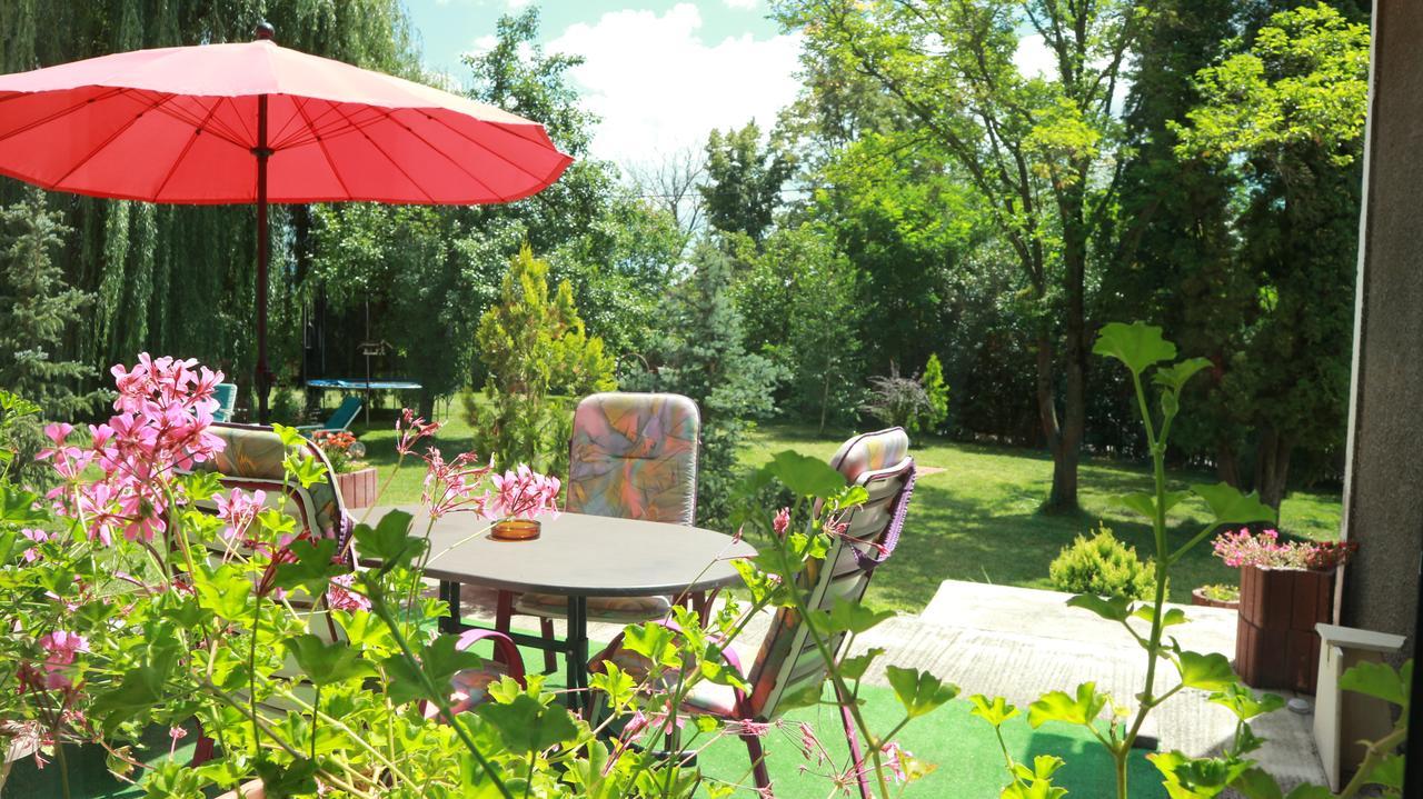 Home Tara Haţeg Exterior foto